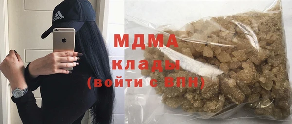 шишки Новодвинск
