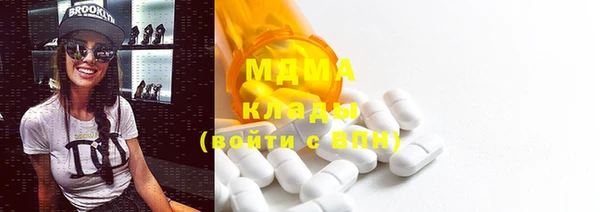 шишки Новодвинск