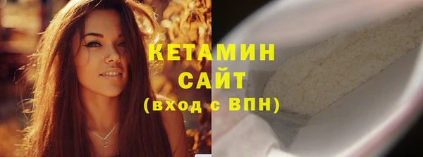 шишки Новодвинск